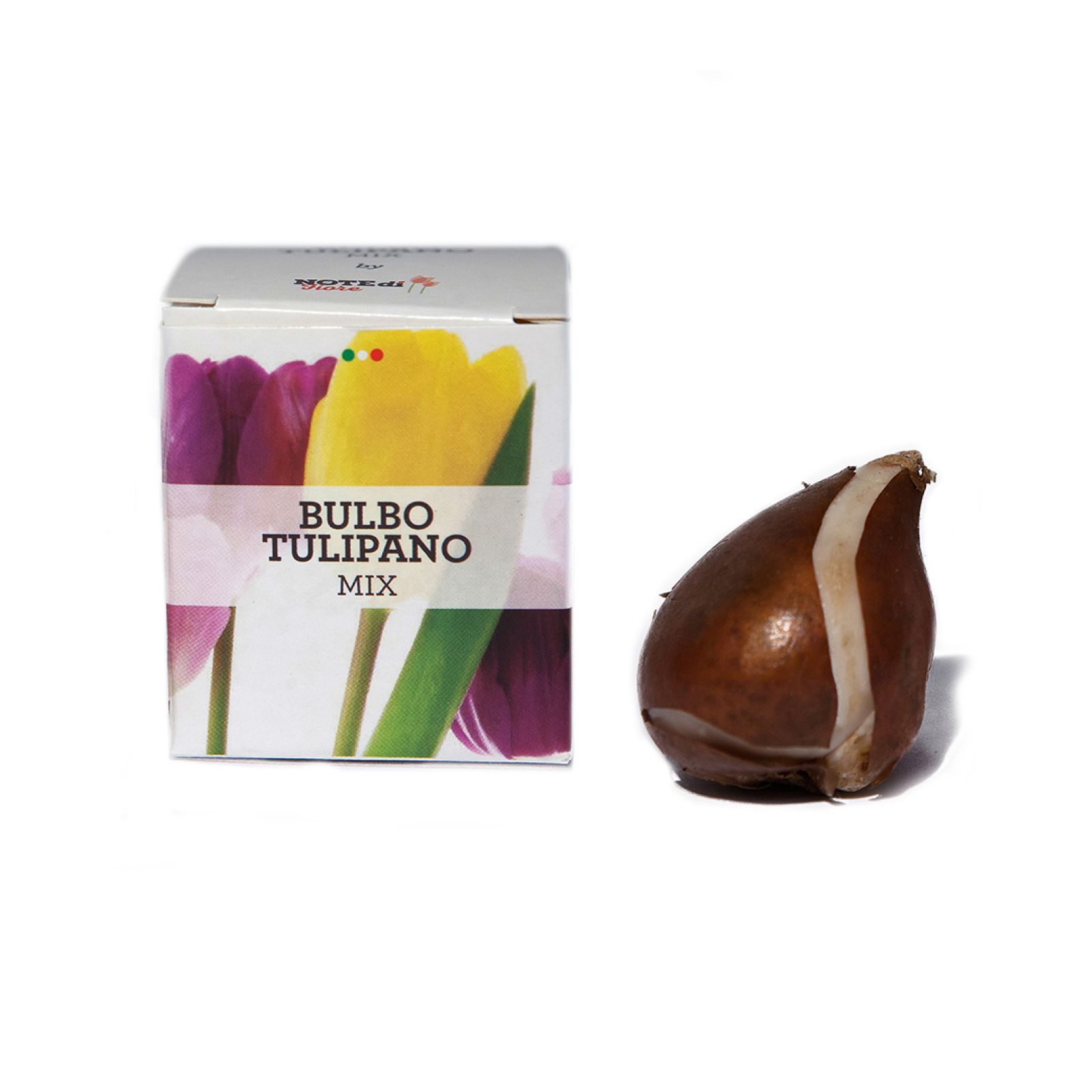 Bulbo Tulipano Mix